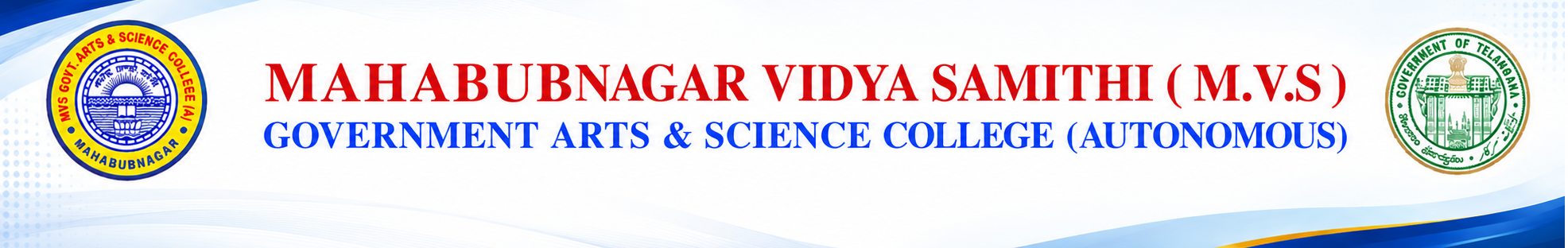 mvs_logo2